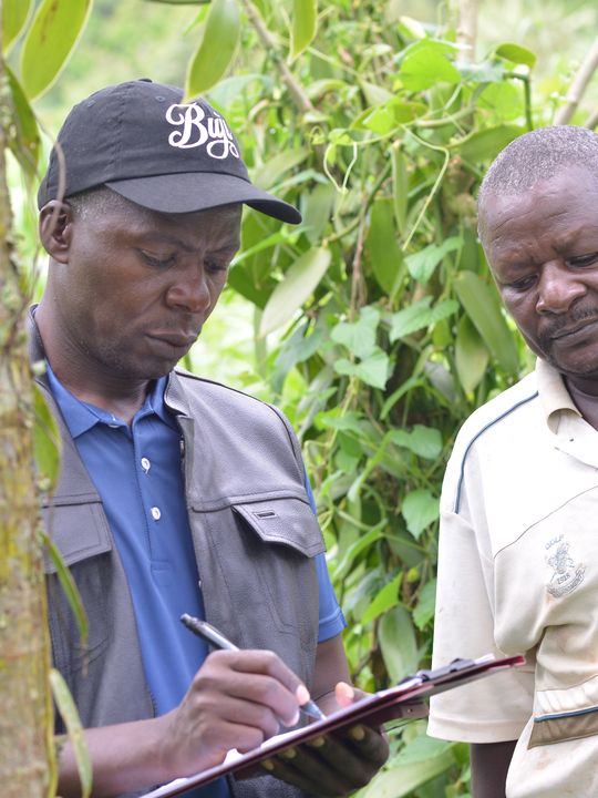 Namalele John, Buji vanilla grower