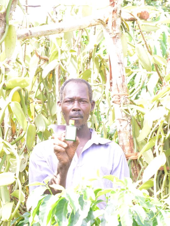 Nakabinge Eriazali, Buji vanilla grower
